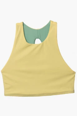 Gwen Bikini Top - Pismo 15 Gwen Bikini Top - Pismo -JOLYN Sales Surf Tops Gwen Solid Pismo Flatlay Front Jocelyn 010423