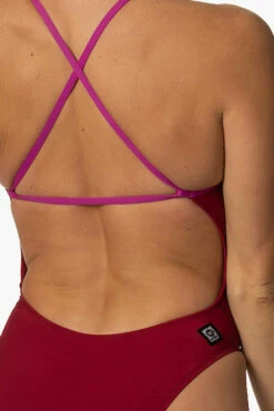 Brandon 2 Swim Onesie - Cranberry & French Mullbery